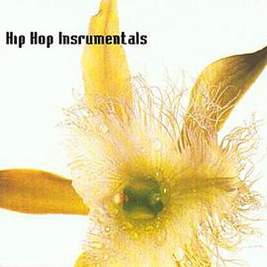 Hip hop instrumentals