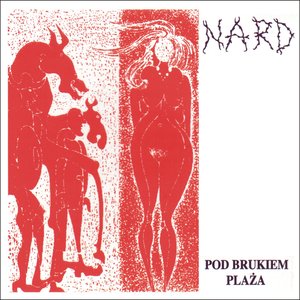 NARD 的头像