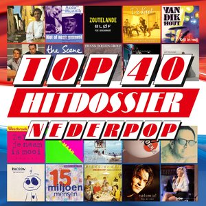 TOP 40 HITDOSSIER - Nederpop