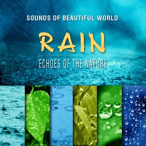 Echoes of the Nature: Rain