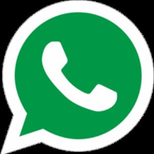 “WhatsApp Audio”的封面