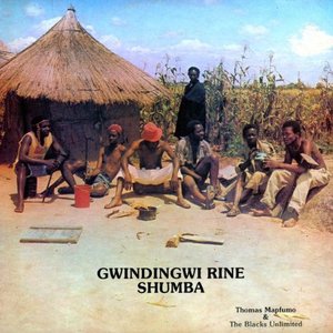 Gwindingwi Rine Shumba