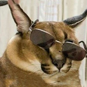 тактики тишины 的头像