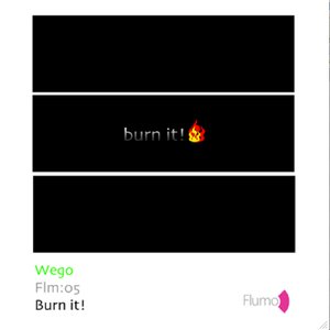 Burn It