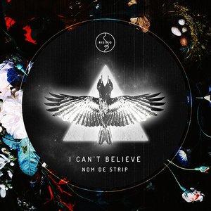 I Can't Believe - Single