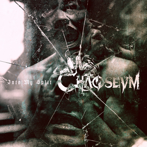 Chaoseum Lyrics Song Meanings Videos Full Albums Bios Sonichits Chaoseum Lyrics Song Meanings Videos Full Albums Bios Sonichits