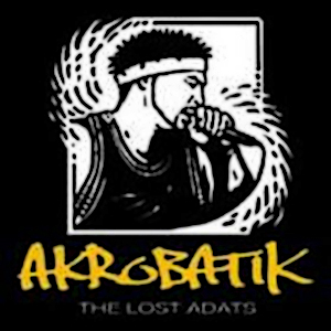 The Lost ADATs cover