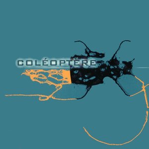 Coléoptere