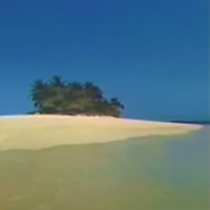 remoteshore遠隔沿岸