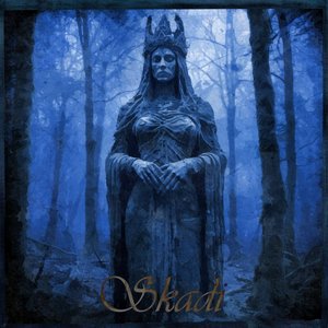 Skadi 的头像