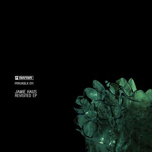 Revisited EP
