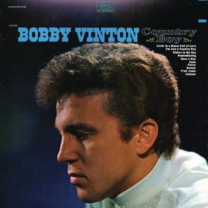 Bobby Vinton - Detour Lyrics - Zortam Music