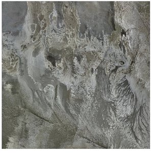 Neural Inversion