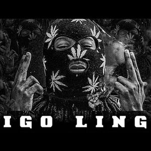 Avatar for YRN Lingo