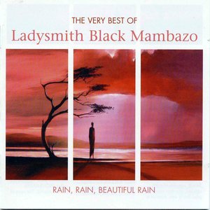 Immagine per 'The Very Best of Ladysmith Black Mambazo: Rain, Rain, Beautiful Rain'