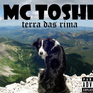 mc toshi のアバター