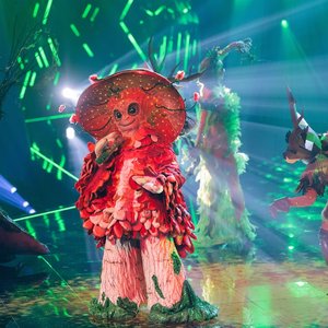 The Masked Singer: Der Pilz 的头像