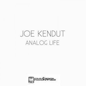 Analog Life