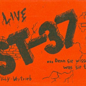 ST-37 的头像