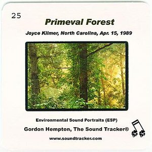 Imagem de 'Primeval Forest'