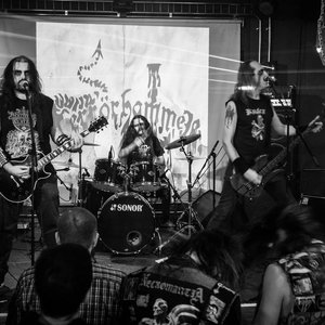 Avatar for Terrörhammer