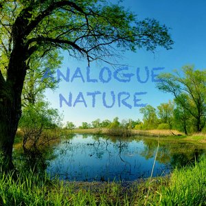 Analogue Nature