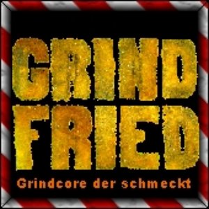 Image for 'Grind Fried'