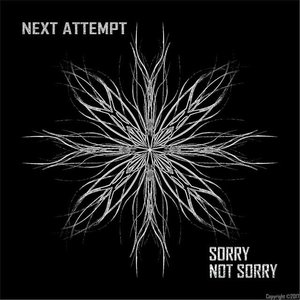 Sorry, Not Sorry - Single
