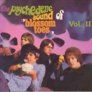 The Psychedelic Sound of "Blossom Toes", Vol. II: If Only for a Moment