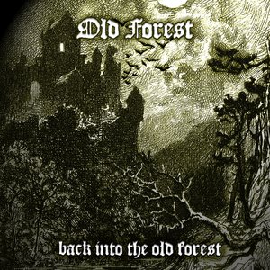 Back Into the Old Forest