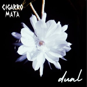 Dual