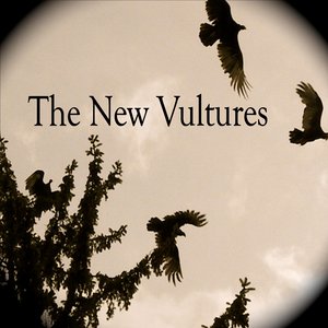 Image for 'The New Vultures'