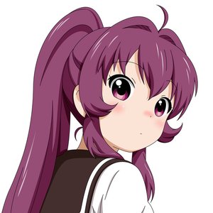 杉浦綾乃 的头像
