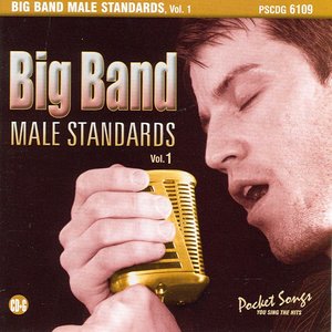 Big Band Male Standards, Vol. 1