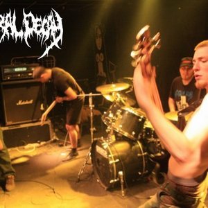 Avatar di Guttural Decay