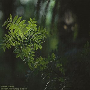 Zauberwald (Sleep Edition)