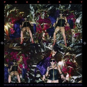 Wrapped in the Flame of Illusion, Masked in the Clay of Behavior