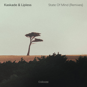 Artwork for State of Mind (Faodail Remix)