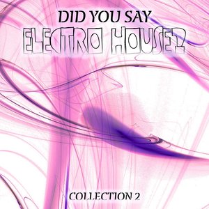 Did You Say Electro House?, Vol. 2