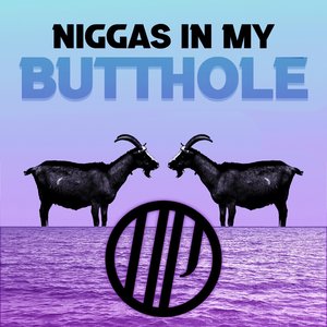 Niggas In My Butthole - Single