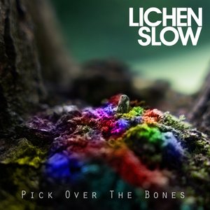 Pick Over The Bones