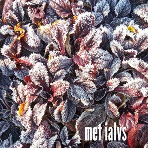 Avatar for Met Ialvs