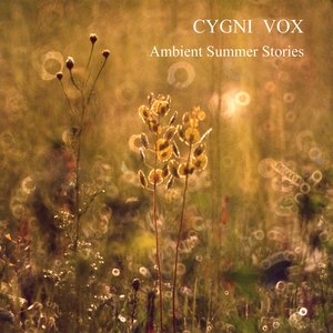 “Ambient Summer Stories”的封面