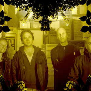 Kong photo provided by Last.fm