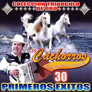 30 Primeros Exitos