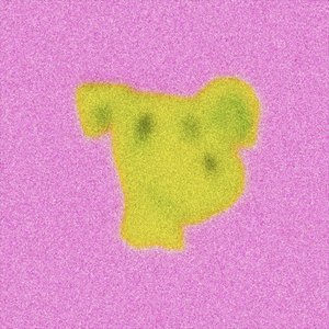 Charli XCX - 360 (Tom VR Edit)