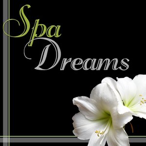 Spa Dreams