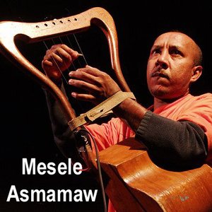 “Melesse Asmamaw”的封面