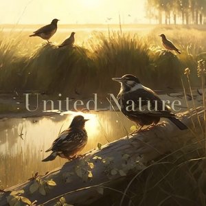 Halcyon Fields - EP