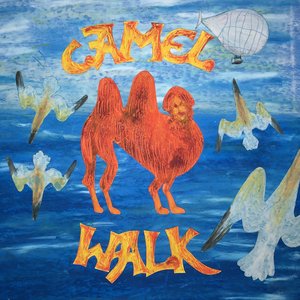 Camel Walk